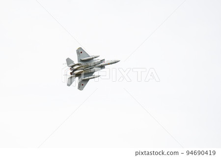 Air Self-Defense Force fighter F-15J exhibition flight 94690419