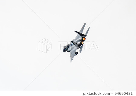 Air Self-Defense Force fighter F-15J exhibition flight 94690481