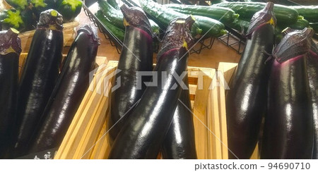 Autumn eggplants on display 94690710
