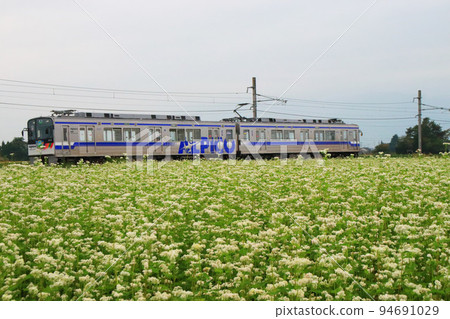 20100 series running through the buckwheat fields of Shinshu 94691029