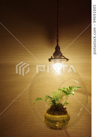Terrarium 94691605