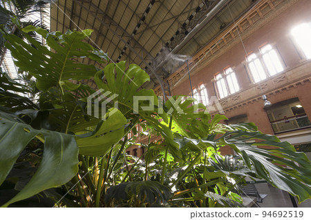 Atocha railway station in Madrid, Spain 94692519
