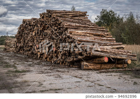 Big pile of large cut down logs stacked at the transportation site 94692896