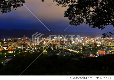 [Kochi Prefecture] Night view from Fudeyama Park (Kochi City) 94693375