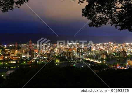 [Kochi Prefecture] Night view from Fudeyama Park (Kochi City) 94693376