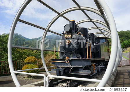 SL (C20 type) found in Kamaishi 94693837