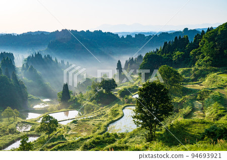 新潟鴨梯梯田 新潟鴨梯梯田 94693921