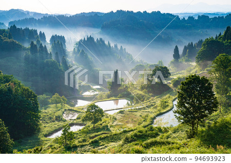 新潟鴨梯梯田 94693923