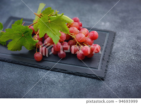 Vineyard Harvest in autumn season Vineyard Harvest in autumn season 94693999