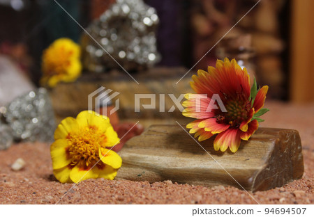 Yellow Flower on Petrified Wood and Crystals on Australian Red Sand 94694507