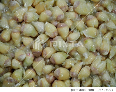 柚子種子 94695095