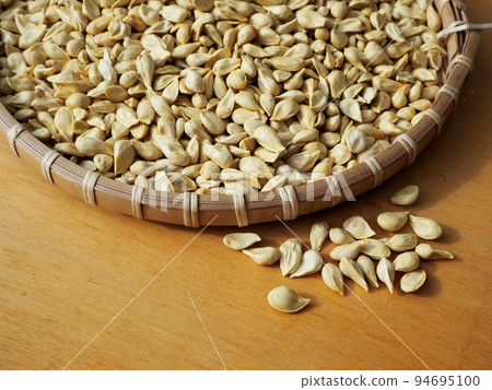 幹柚子種子 94695100