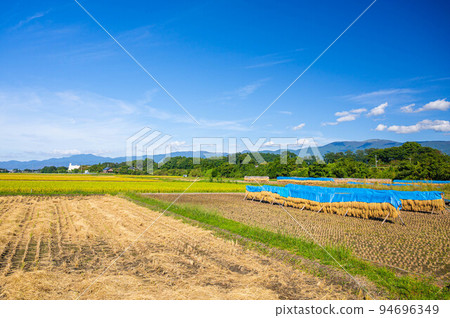 收稻時的鄉村風光 94696349