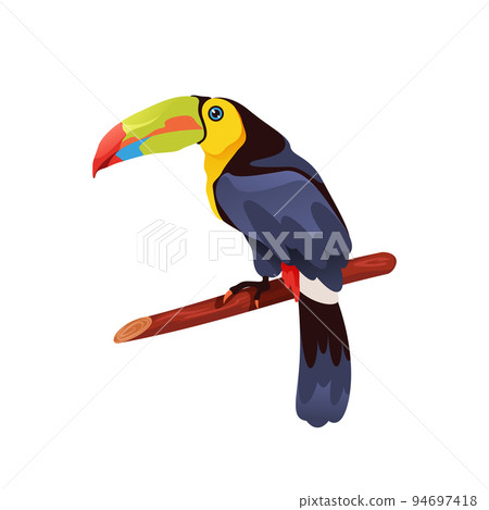 Keel billed toucan bird, vector icon or clipart. Keel billed toucan bird, vector icon or clipart. 94697418