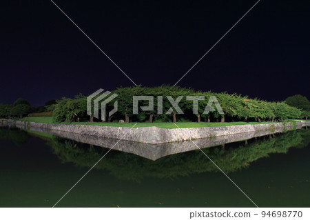 函館_五棱郭夜景 94698770