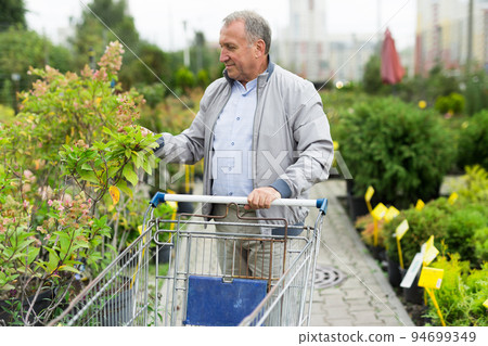Man choosing seedlings in market Man choosing seedlings in market 94699349
