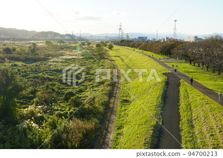 Grassland on the Tama River riverbed seen from Inagi Ohashi Bridge shining in the setting sun Grassland on the Tama River riverbed seen from Inagi Ohashi Bridge shining in the setting sun 94700213