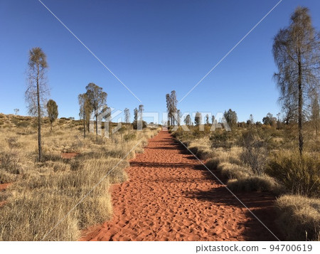 One road of wilderness One road of wilderness 94700619