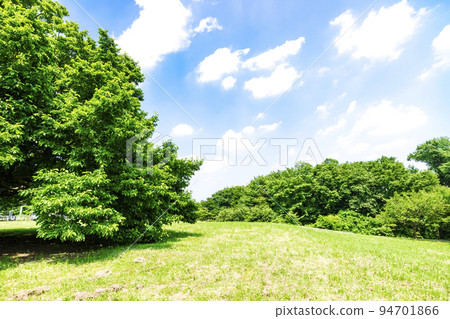 與綠色和藍天的風景 94701866