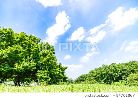 Landscape with green and blue sky 94701867