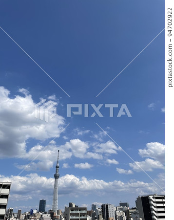 夏天天空和天空樹 夏天天空和天空樹 94702922