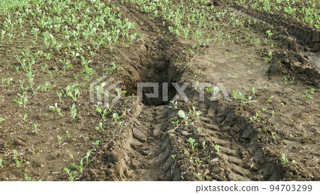 Erosion damage field subsoil hole pit soil inappropriately managed earth land degradation field. Intensive agriculture damages tractor track. Vadose zone poor farm farming without trees draws. Erosion damage field subsoil hole pit soil inappropriately managed earth land degradation field. Intensive agriculture damages tractor track. Vadose zone poor farm farming without trees draws. 94703299