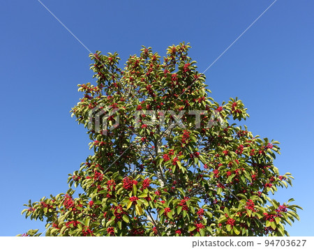 Kuroganemochi (for autumn images and lucky charms) 94703627