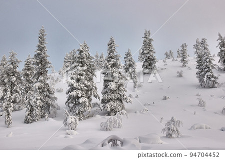 Winter Snowy Landscape, Northern Finland Winter Snowy Landscape, Northern Finland 94704452