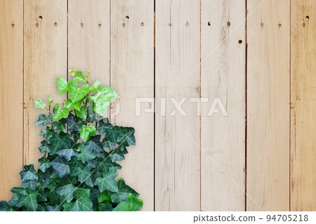 Wood grain material and green 94705218