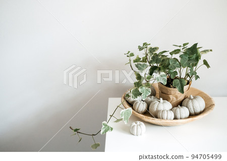 Sustainable Eco-Friendly Zero Waste Thanksgiving banner. Minimal Thanksgiving Halloween decorative composition of clay pumpkins and green house plant in wooden plate 94705499