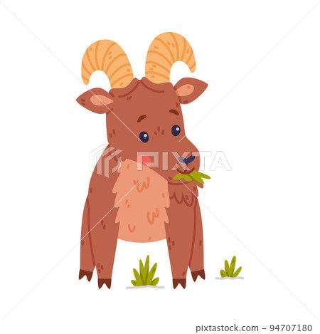 Urial Character as Wild Mountain Sheep with Horns Chewing Grass Vector Illustration 94707180