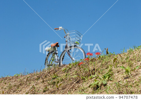Red spider lilies and bicycles along the bank Red spider lilies and bicycles along the bank 94707478