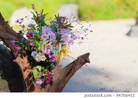 A colorful bouquet on a tree with the Meigetsuin garden in the background 94708452