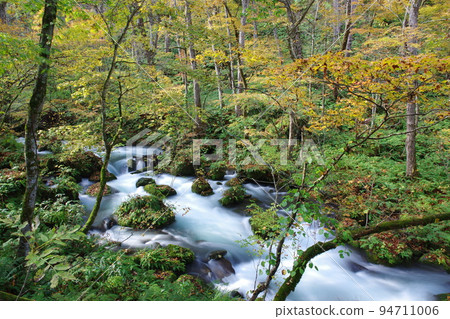 奧入瀨峽谷秋景 94711006
