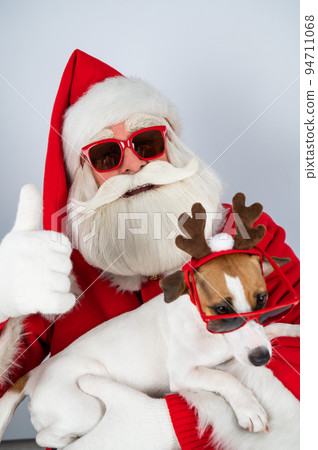 Portrait of santa claus in sunglasses and dog jack russell terrier in rudolf reindeer ears on a white background.  94711068