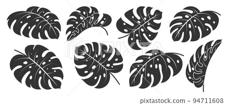 Monstera Deliciosa leaf flat icon set. Tropical exotic plant branch stencil black silhouette. Summer philodendron foliage. Floral scrapbooking cut design element. Single leaves ink stamp on white 94711608