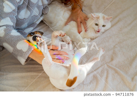 Caucasian woman holding white fluffy cat and Jack Russell Terrier dog lying on bed. Redhead girl hugging pets. Caucasian woman holding white fluffy cat and Jack Russell Terrier dog lying on bed. Redhead girl hugging pets. 94711876