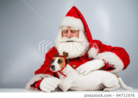 Portrait of santa claus and dog jack russell terrier in rudolf reindeer ears on a white background. Portrait of santa claus and dog jack russell terrier in rudolf reindeer ears on a white background. 94711976