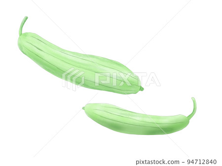 Loofah (hand drawn) 94712840