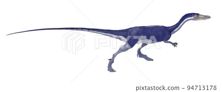 Coelophysis representative of early dinosaurs 94713178