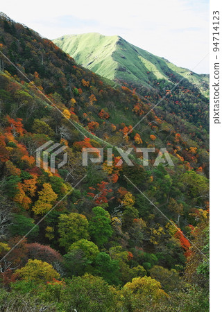 Mountains of autumn leaves Mountains of autumn leaves 94714123