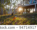 Free-ranging chickens, backlighting, and huts 94714917