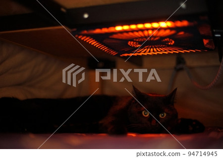 A black cat relaxing under a kotatsu 94714945