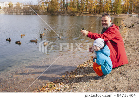 Father and son in nature in the park feeding ducks in the river in autumn 94715404