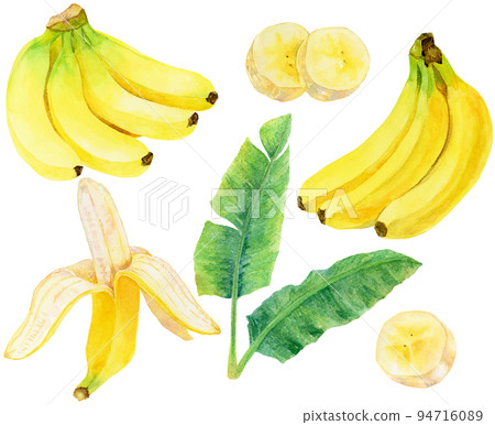 Watercolor_banana material collection Watercolor_banana material collection 94716089