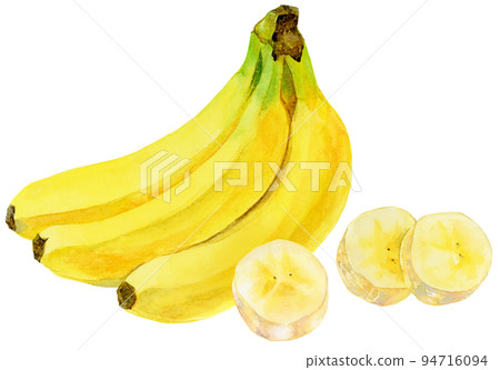 Watercolor _ Banana bunches and sliced bananas Watercolor _ Banana bunches and sliced bananas 94716094