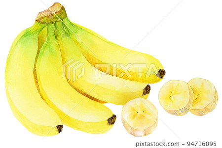 水彩_香蕉束和切片香蕉 2 94716095