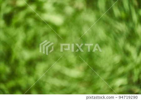 Blurred background of bokeh nature. Abstract natural background of a park or garden. Soft unfocused grass, made with a bokeh effect. High quality photo Blurred background of bokeh nature. Abstract natural background of a park or garden. Soft unfocused grass, made with a bokeh effect. High quality photo 94719290