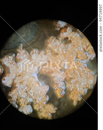 清湯結晶 清湯結晶 94719997