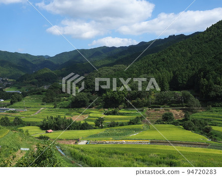 Asuka no Sato Inabuchi terraced rice fields 94720283